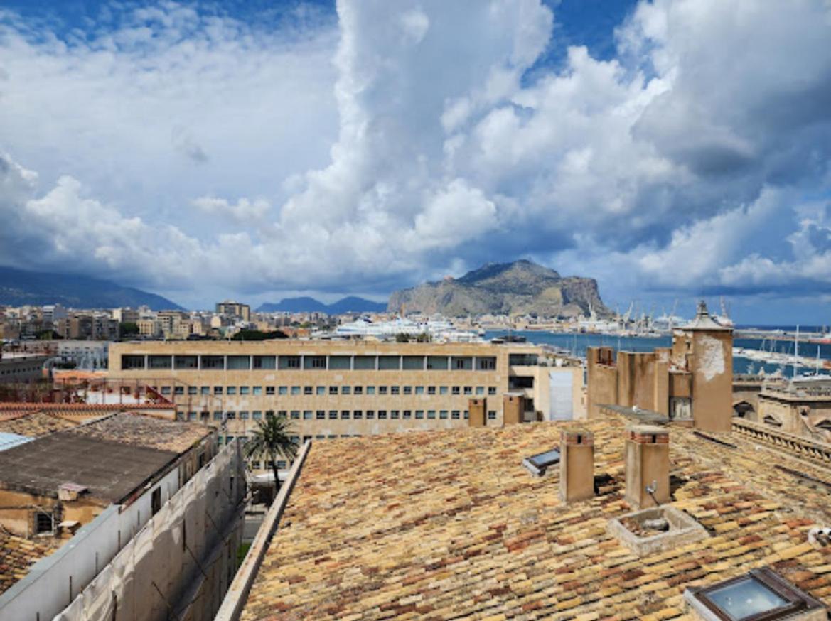 Bibi And Pensión Palermo
